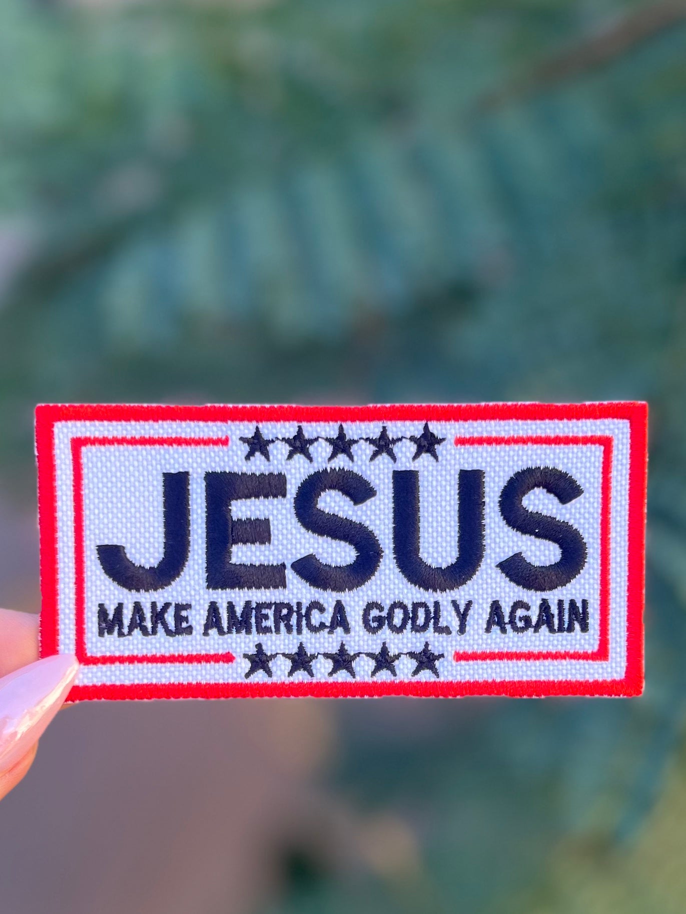 JESUS MAKE AMERICA GODLY AGAIN